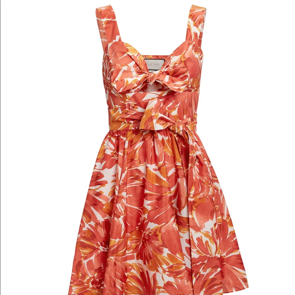 Alexis Ilda Floral Dress